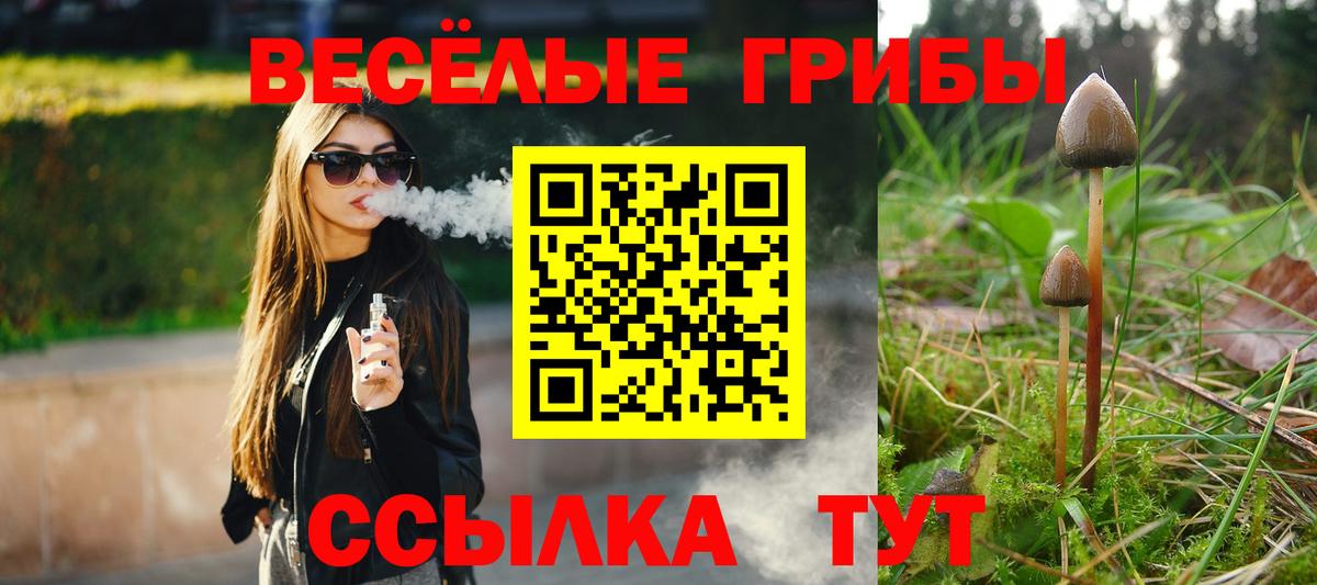 Галлюциногенные грибы Psilocybe  Вход с VPN  Кингисепп 